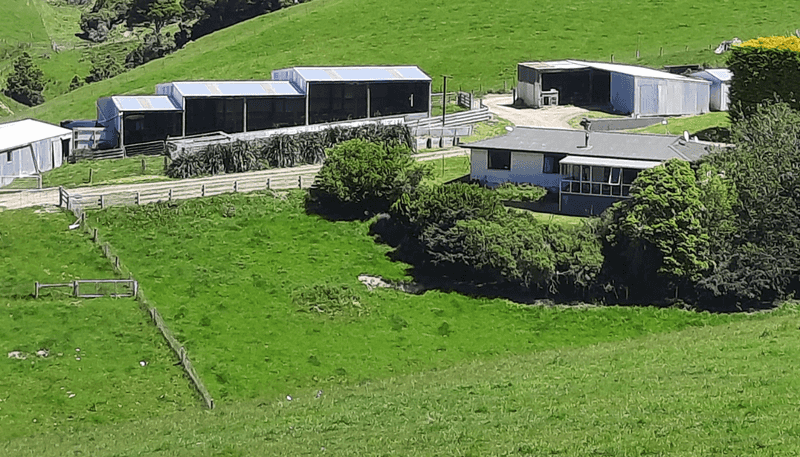 183 Gunn Road, Waitepeka