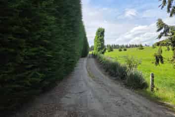 183 Gunn Road, Waitepeka