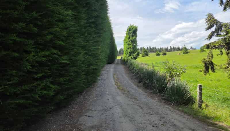 183 Gunn Road, Waitepeka