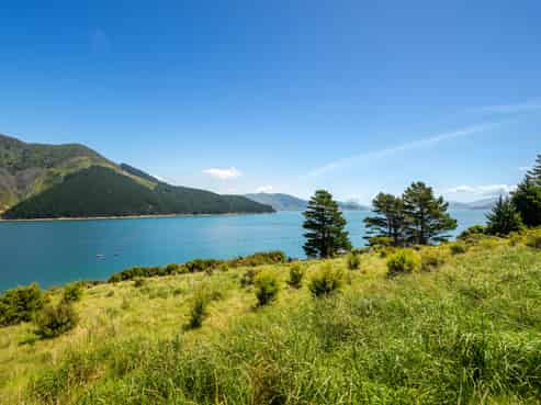 Block 11 Clova Bay Road, Pelorus Sounds