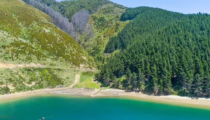 815 Manaroa Road, Pelorus Sounds