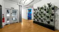 Open gallery