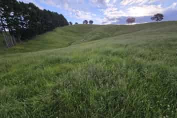 2/556 State Highway 27, Ngatea