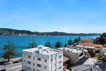 7A/274 Oriental Parade, Oriental Bay
