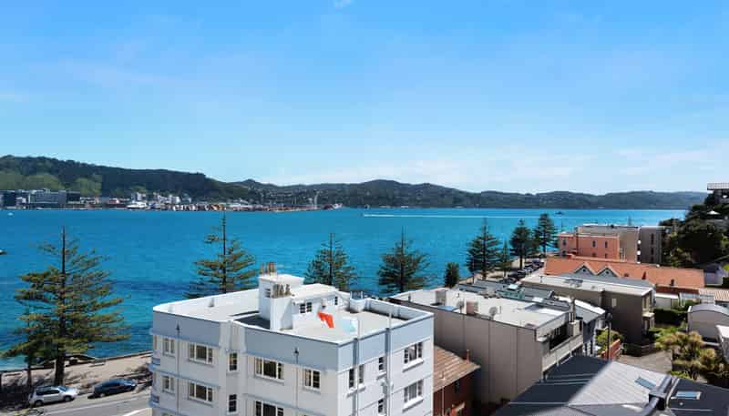 7A/274 Oriental Parade, Oriental Bay
