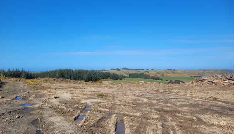  Taieri Beach Road, Taieri Beach