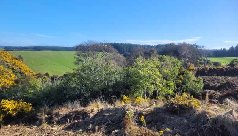  Taieri Beach Road, Taieri Beach