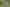 1274 Fergusson Drive, Brown Owl