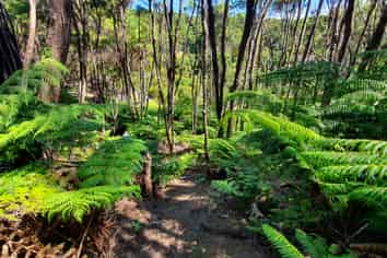 21 Woods Ridge Road, Kawau Island