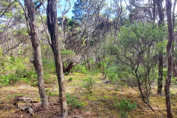 21 Woods Ridge Road, Kawau Island