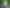 Bay of Plenty - Address withheld