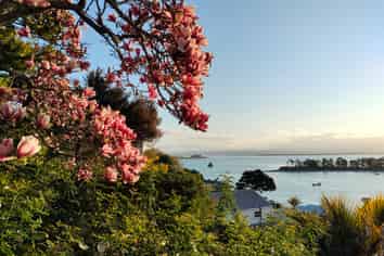 11 Fifeshire Crescent, Stepneyville