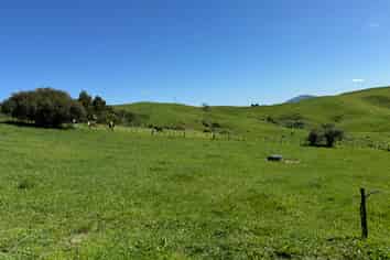 95 Mountain View Road, Otorohanga