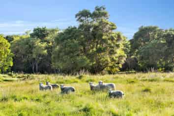 849 Kincaid Road, Kaikoura