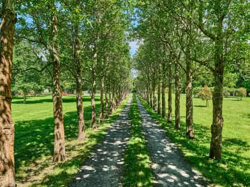 96 Arcus Road, Te Horo