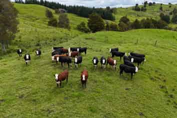 2895 State Highway 1, Umawera