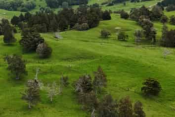 2895 State Highway 1, Umawera