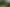 2895 State Highway 1, Umawera