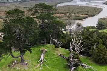 2895 State Highway 1, Umawera