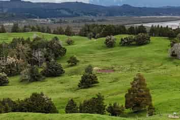 2895 State Highway 1, Umawera