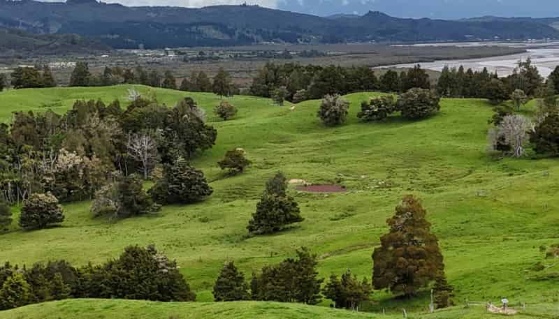 2895 State Highway 1, Umawera