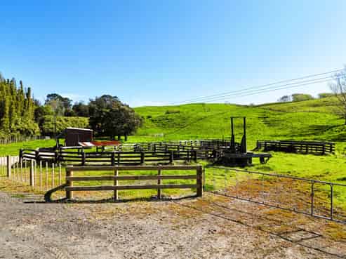 445 Avoca Road, Dargaville