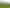 00 Princes Street, Waikino