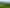 00 Princes Street, Waikino
