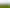 00 Princes Street, Waikino