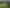 00 Princes Street, Waikino