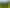 00 Princes Street, Waikino