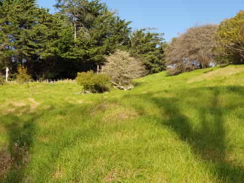 Lot 1/ Huarau Road, Maungaturoto