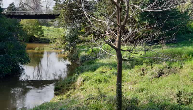 Lot 1/ Huarau Road, Maungaturoto