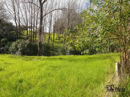 Lot 1/ Huarau Road, Maungaturoto