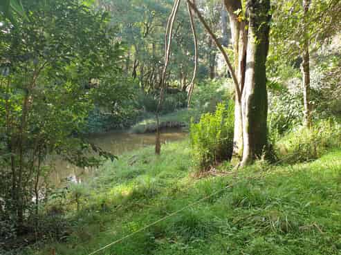 Lot 1/ Huarau Road, Maungaturoto