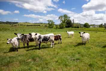 261 Parker Lane, Buckland