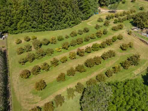 99 Maungarangi Road, Paengaroa