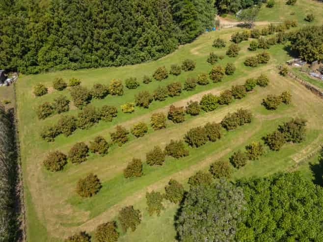 99 Maungarangi Road, Paengaroa
