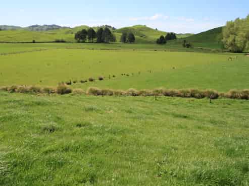 210 Douglas Road, Douglas