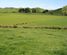 210 Douglas Road, Douglas, Stratford, Taranaki