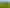 246 and 48 Clutha River Road, Clydevale