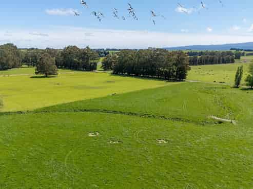 246 and 48 Clutha River Road, Clydevale