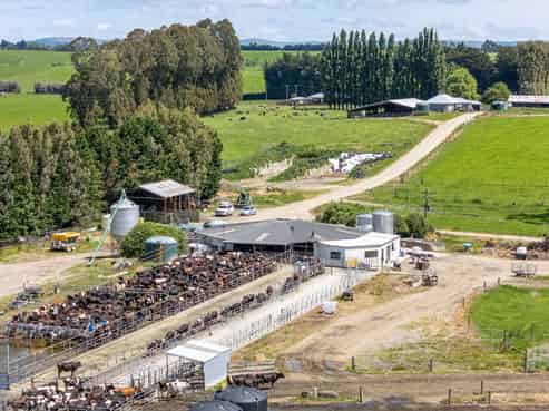 246 and 48 Clutha River Road, Clydevale