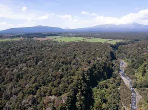 205 Mangaturuturu East Road, National Park