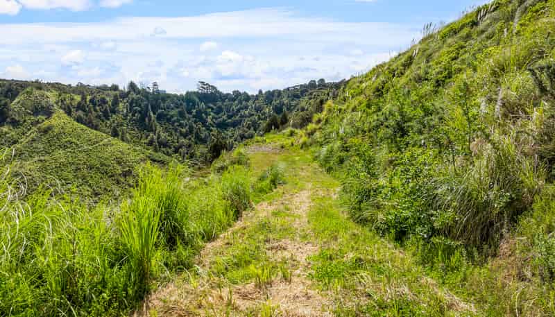 709 Ahuroa Road, Puhoi