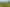 709 Ahuroa Road, Puhoi