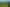 709 Ahuroa Road, Puhoi