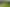 100ha farm for lease – three houses