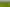 100ha farm for lease – three houses