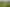 100ha farm for lease – three houses